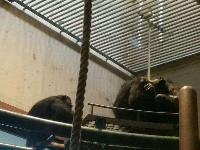 ���N���g����ł܂���www_���R������