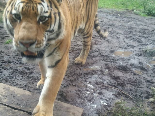 ���������߂��Ō���܂�_���R������