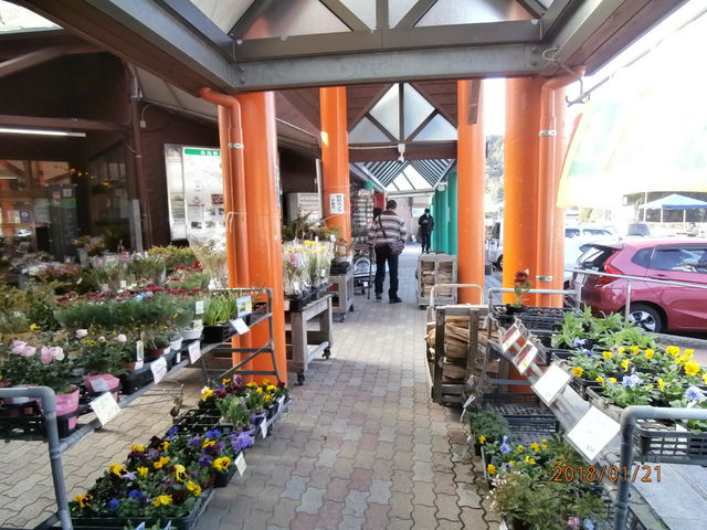 񂳂̓̉w eVق̓eʐ^6