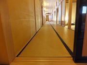 񂳂̌ܗŊsՂ̓eʐ^3