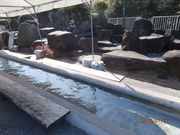 񂳂̓̉w eVق̓eʐ^5