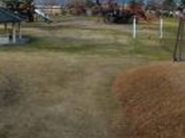 tXs[h̖]͔Ȍ̓eʐ^1