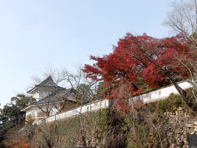 日本 501-3701 岐阜県美濃市 その他 安い １５７１ 小倉山城