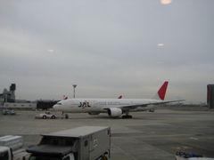 �ςς���΂ꂳ��̉Ԋ���`�^�[�~�i���ւ̓��e�ʐ^1