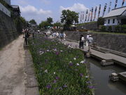 sklfh̗쐅ۗΒn̓eʐ^1