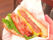 t^R̃NAACi KUA `AINA ۃrX̓eʐ^1