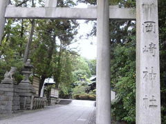 �����݂���̓��V������_�Ђւ̓��e�ʐ^1