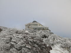 XsR̕ʕ{[vEFCւ̓eʐ^1