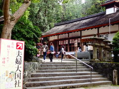 ���ǁ[����̕v�w�嚠�Ђւ̓��e�ʐ^1