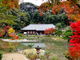 しどーさんの浄瑠璃寺庭園への投稿写真3