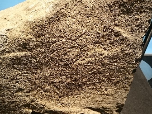 nkɂ蔭ꂽ_̔n@ʉ@NX