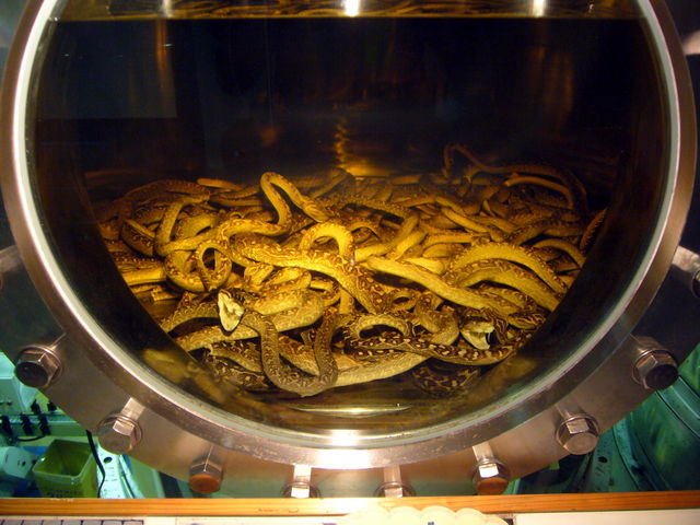 �ւ����Ȑl�͌��Ȃ������悢�Ƃ��������_�����Ȃ탏�[���h