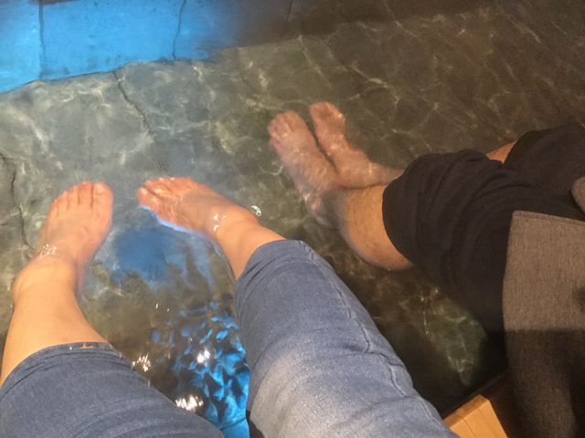 �򎿕��͋C�ō�_����牷��u�����v