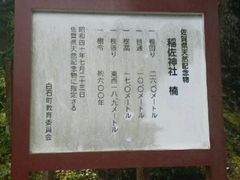 JOEさんの稲佐神社のクスの投稿写真1