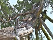 JOE̐Vk_Ђ̃rNV̓eʐ^1