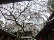 DoubleO7̏\֎̓eʐ^2