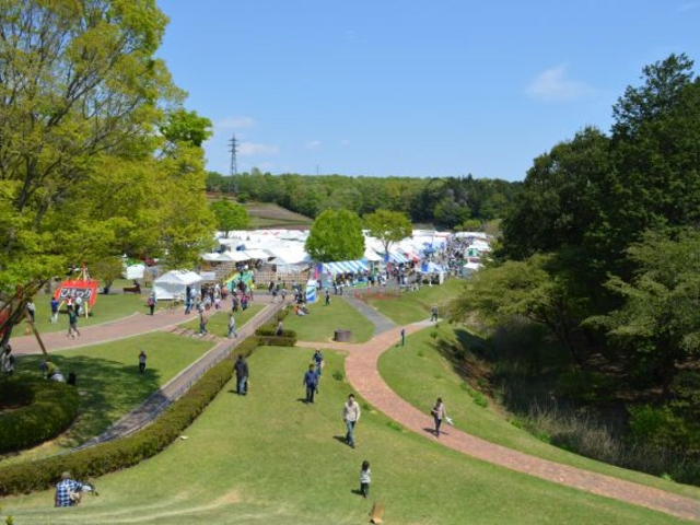 }Ԃ̂Ђ܂̗lq_}Ԍ|p̐X