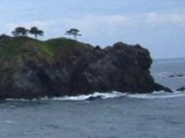 ���C�I����_���C�I����