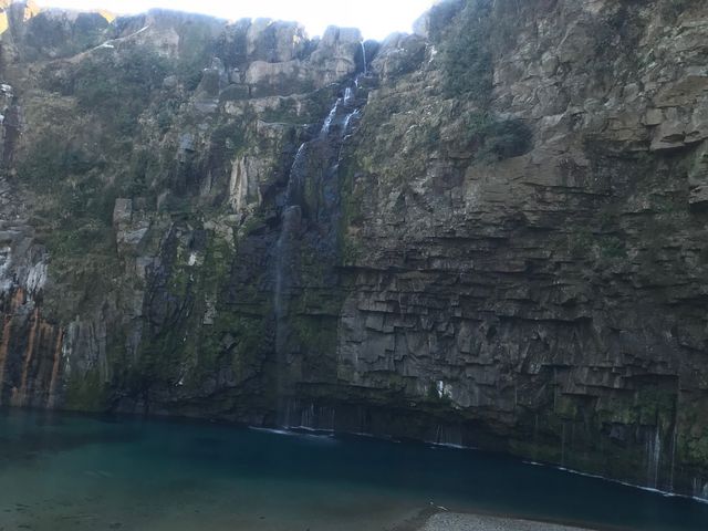 �Y��̑�_�Y��̑�