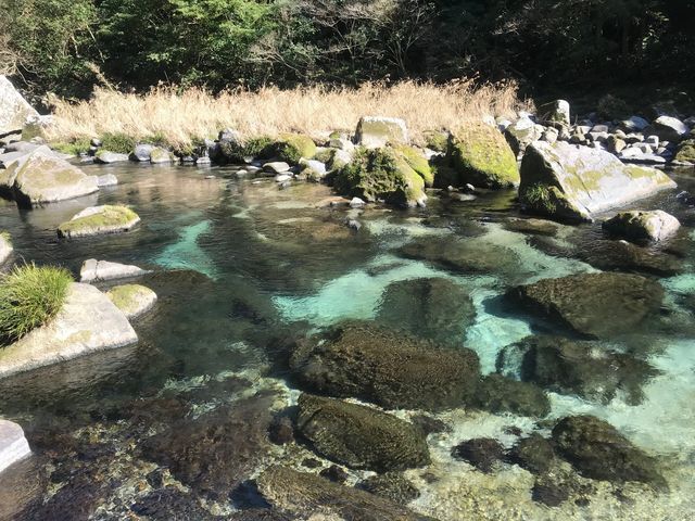 �Y�삪�G�������h�O���[���ł�_�Y��̑�