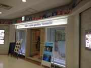 A_[̃AXANAK[f Alice aqua garden cX̓eʐ^2