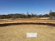 f����̐��������ԃt�@���^�W�A�̓��e�ʐ^1