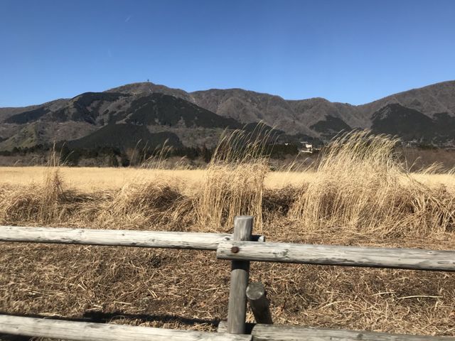 ��Ό�_��Ό�����