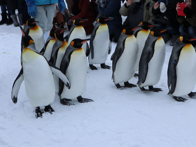 �y���L���̎U��_���R������