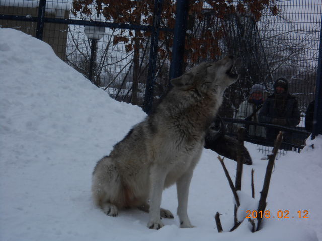 �I�I�J�~�̉��i����ڂ̑O�ŁI_���R������