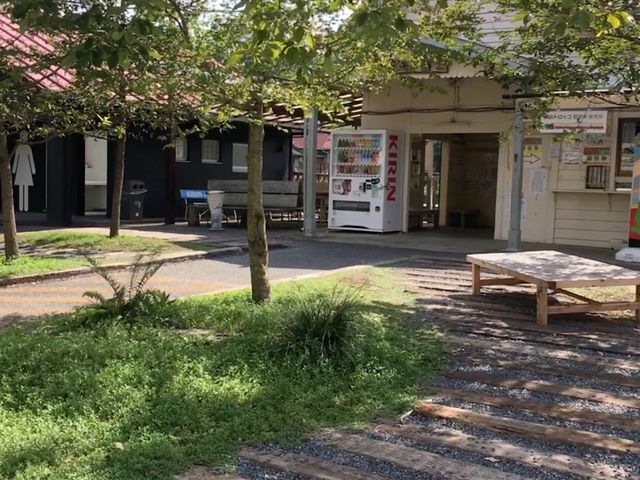 �{�V�k�J�w�͑f�G�Ȗ��l�w�B�ό��ē���������̂ŕK���������ׂ��ł��B_�{�V�k�J