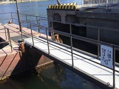 Ђ[񂳂̉Y̓nDւ̓eʐ^2