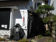 potatotic̊B @̓eʐ^1