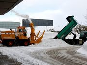 Ƃ񂳂̒sYƓW̓eʐ^3