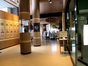 Ƃ񂳂̒sYƓW̓eʐ^5