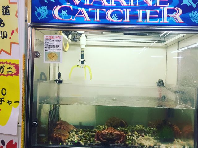 ���H�t�B�b�V���[�}���Y���[�tMOO�EEGG