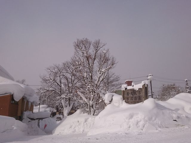 �o�X�₩��_�I�V���C�@���򉷐�