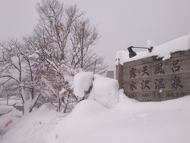 ���H���̊Ŕ�_�I�V���C�@���򉷐�