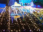 񂲂̓ߐ{삪n[j[z[̓eʐ^1