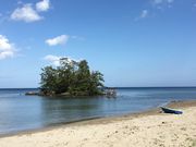 poporon����̗��H�C������̓��e�ʐ^1