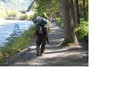 悠񂳂͓̉ւ̓eʐ^1