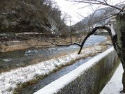 ڂ肳̂݉򉷊C͔ȍ؂̓eʐ^2