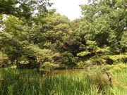 ڂ肳̏_В뉀̓eʐ^1