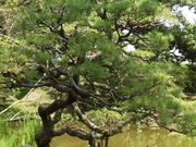 ڂ肳̏_В뉀̓eʐ^2