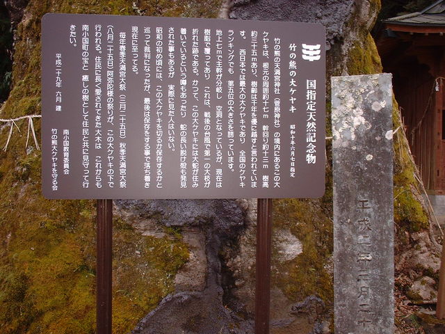 Ԃ񂳂̒|̌F̑PL̓eʐ^2