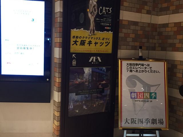 ���l�G����_���l�G����