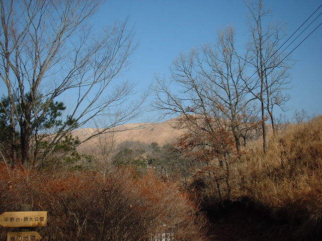 �i��_�����̐X