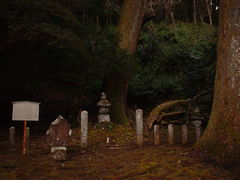 花ちゃんさんの北条三氏の墓の投稿写真2