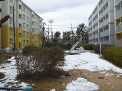 gV[̂Ђ΂肪u5-1ړILւ̓eʐ^1