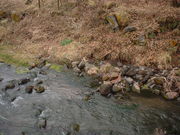 Ԃ񂳂̎uÐ̃IL`YN̓eʐ^1