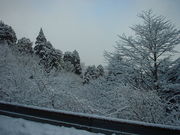 Ԃ񂳂̋dRQ̖X̓eʐ^1